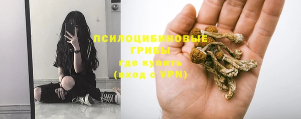 экстази Елизово