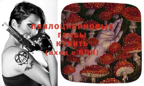 экстази Елизово