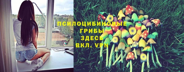 а пвп мука Дмитриев