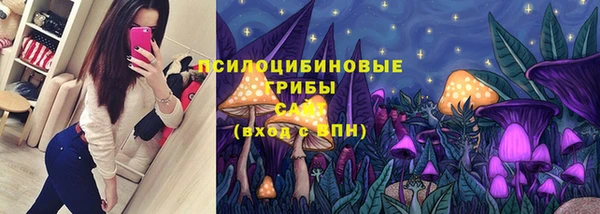 ГАЛЛЮЦИНОГЕННЫЕ ГРИБЫ Дмитровск