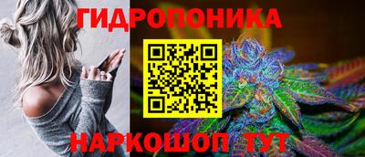 крисы Краснознаменск