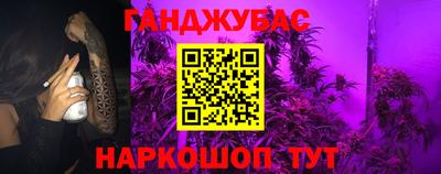 крисы Краснознаменск