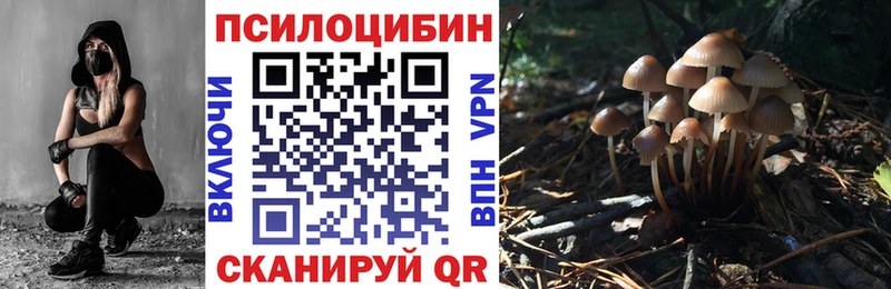 Псилоцибиновые грибы Psilocybine cubensis  omg зеркало  Среднеуральск 